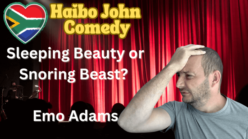 Haibo John Sleeping Beauty or Snoring Beast Emo Adams